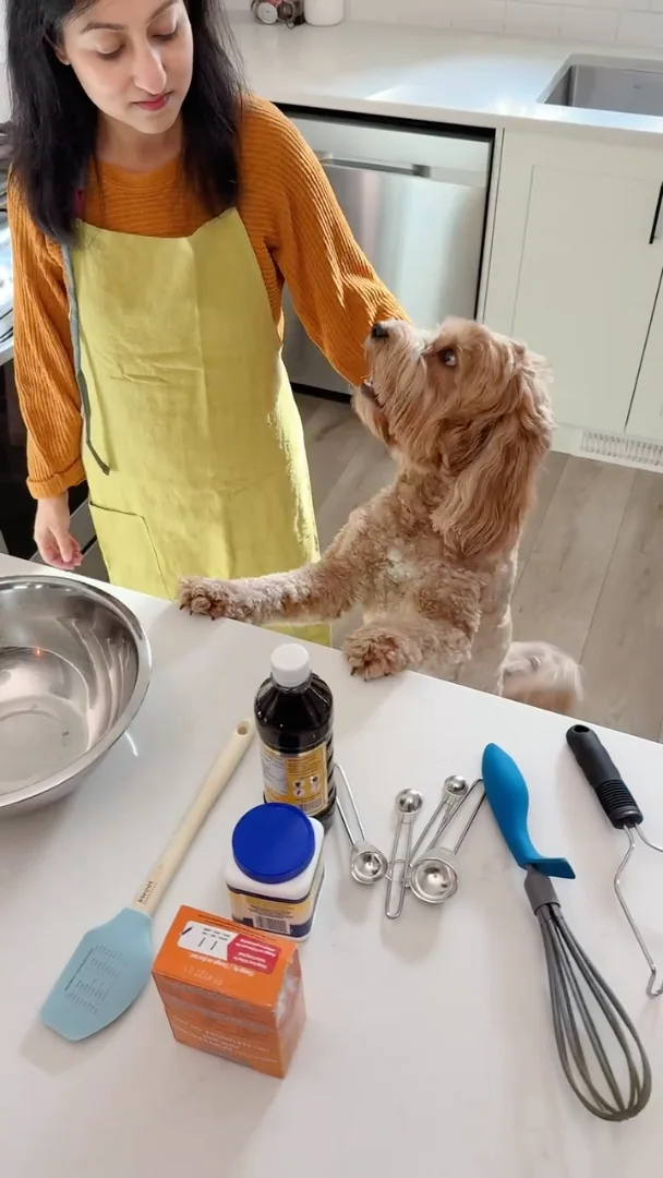 A dog resting its paws against a green Hanee apron in the kitchen